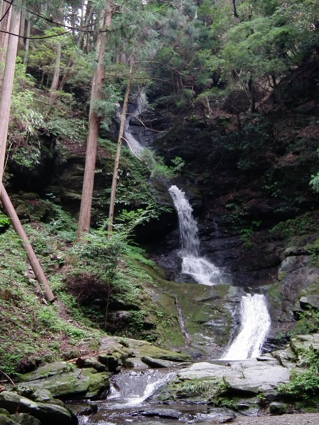DSCF5663