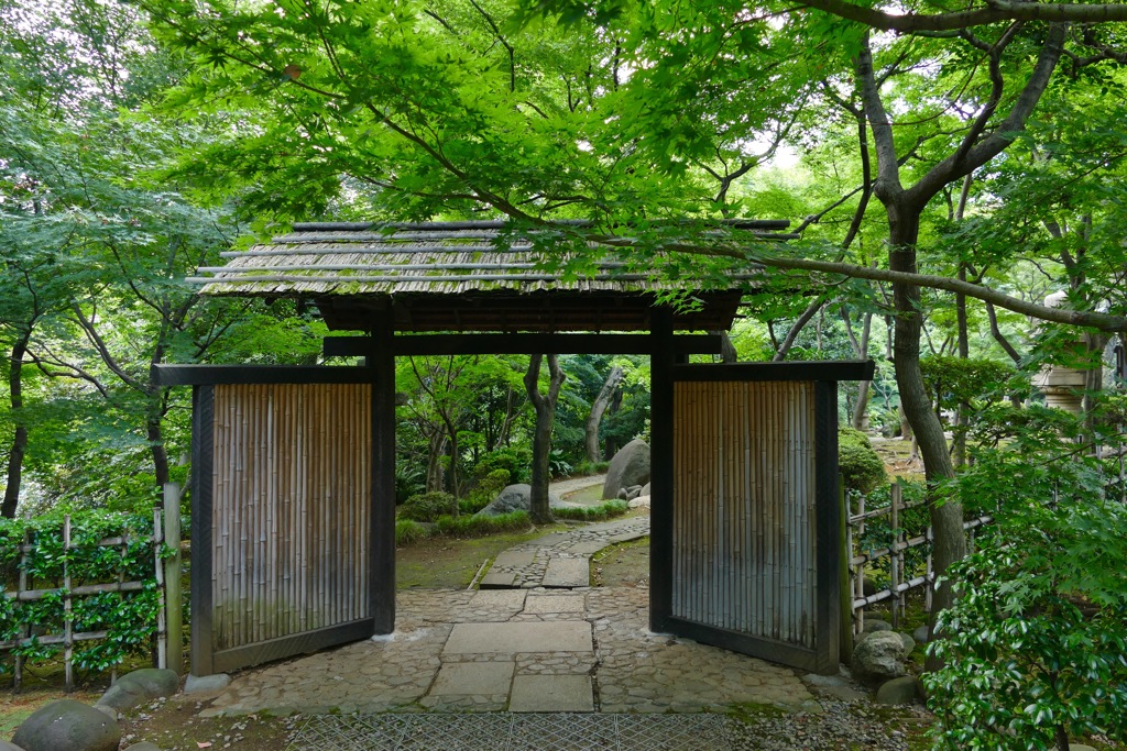 P1030504