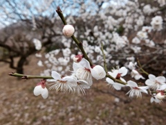 fullsizeoutput_819f