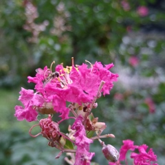 IMGP0157