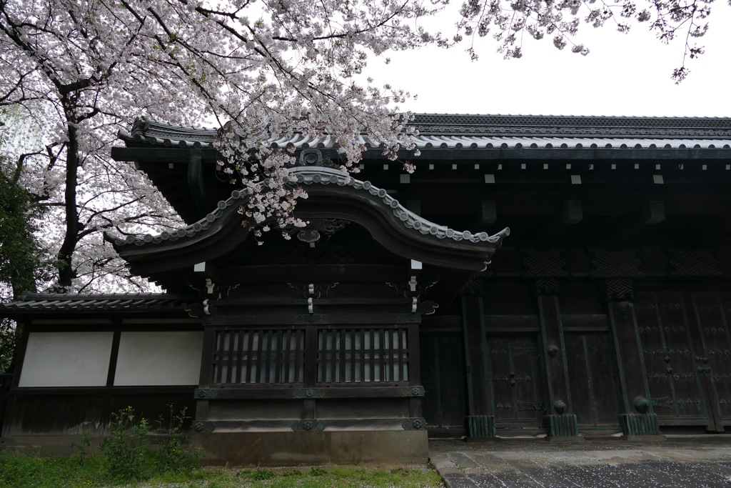 P1030342