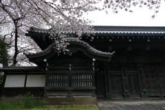 P1030342