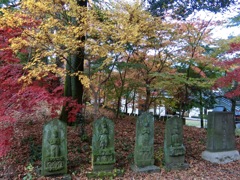 CIMG0251 (2)