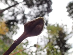 PB022775
