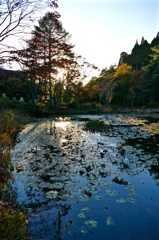 六甲