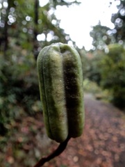 PB022776