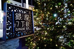 IMG_1245