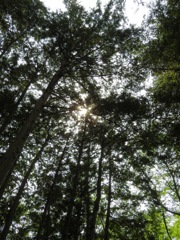 DSCN0145