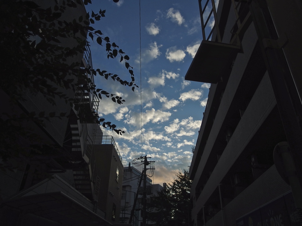 IMGP0035