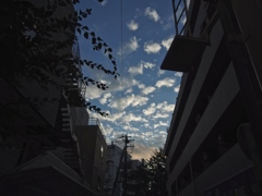 IMGP0035