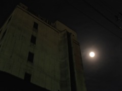 DSCF0621