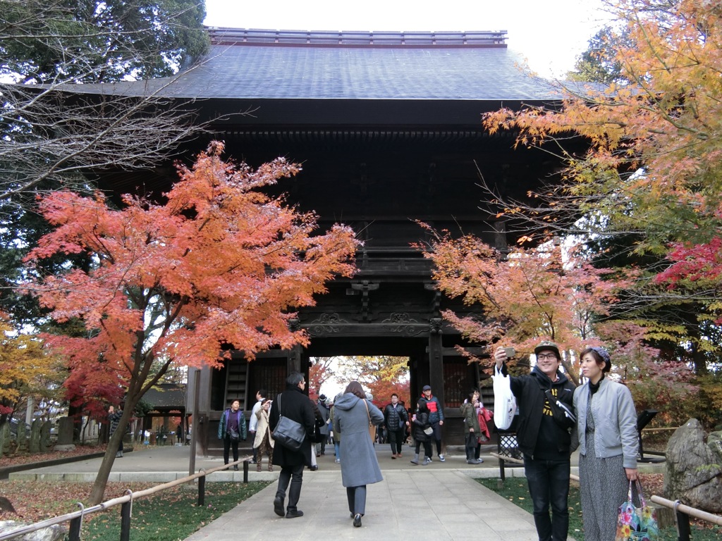 CIMG0249 (1)