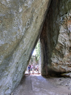 CIMG1849