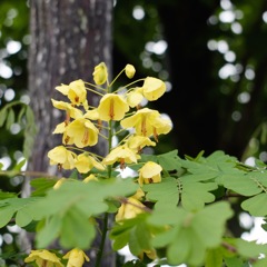 DSCF0563 (1)