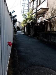 DSCF1438