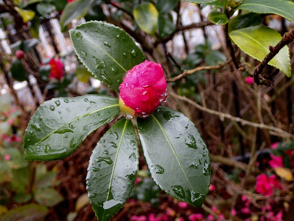PB022824