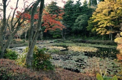 六甲