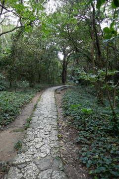 P1010951