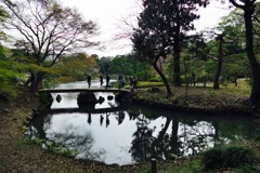 P1030137
