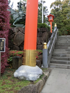 CIMG2807