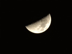 DSC00351 (1)