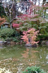 DSCF1546