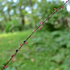 P1000193