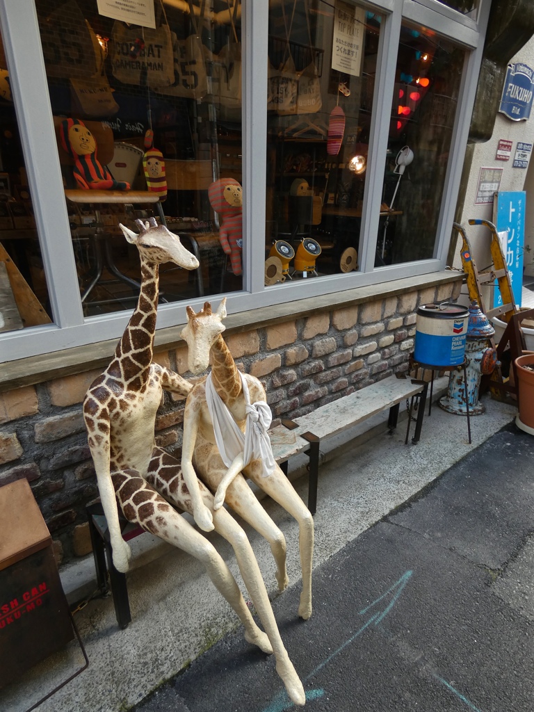 fullsizeoutput_834c