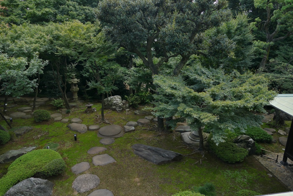 P1030499