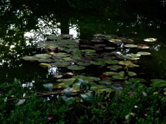 DSC00157