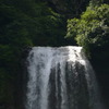 P1000251