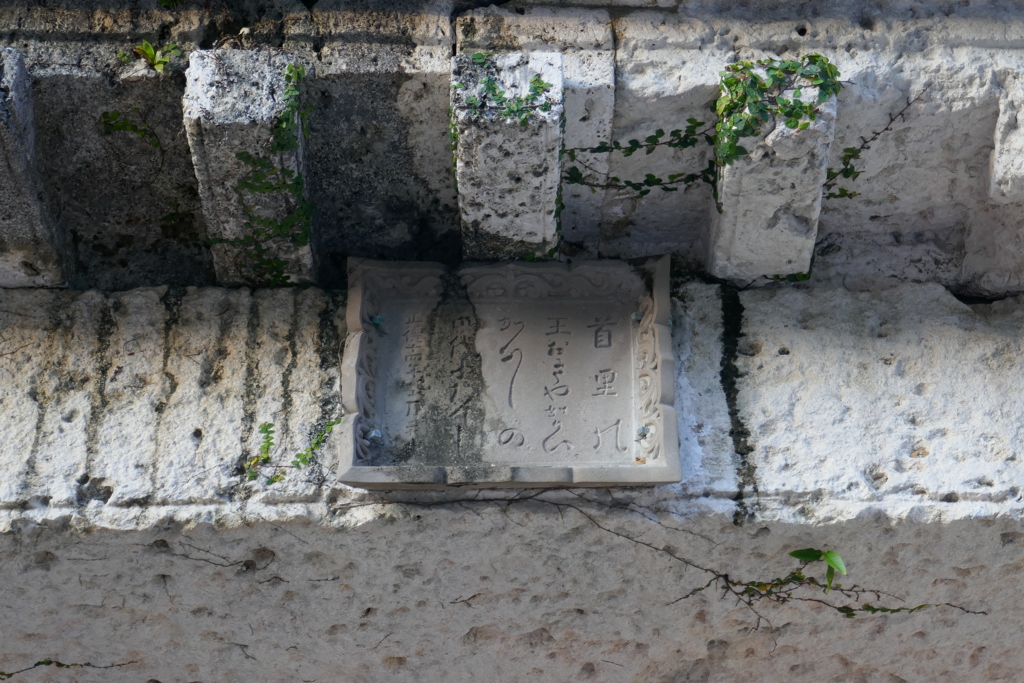 P1030704