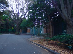 IMGP0481