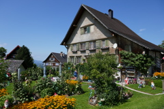 P1000411