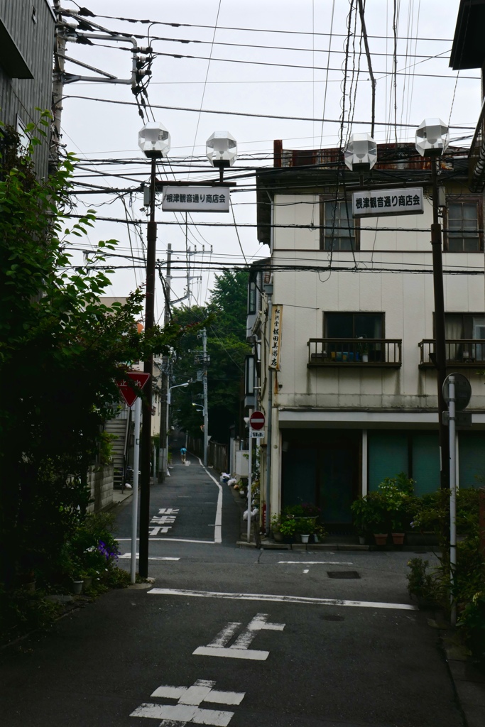 fullsizeoutput_8612