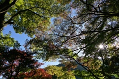 京都