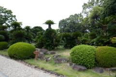 P1010378