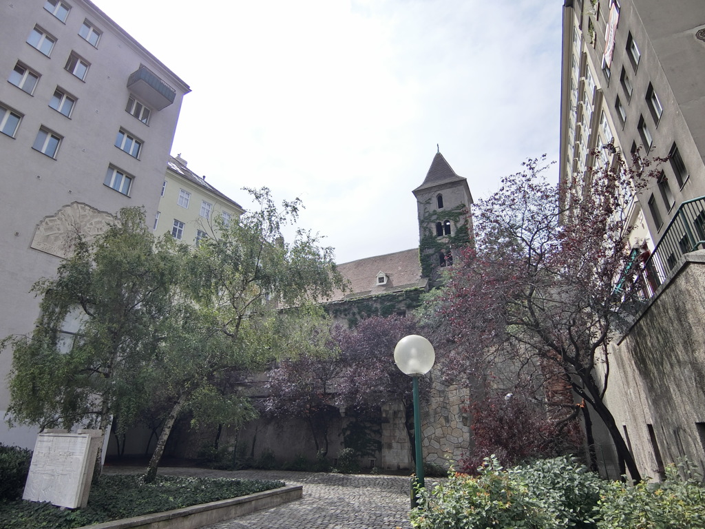 CIMG1484