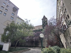 CIMG1484