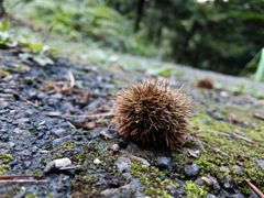 DSCF0997