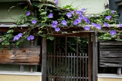 fullsizeoutput_8607
