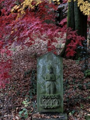 CIMG0252