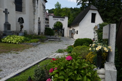 P1010053