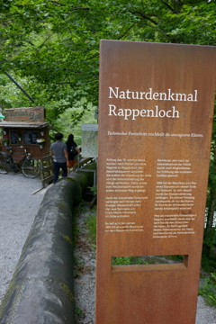 P1000460