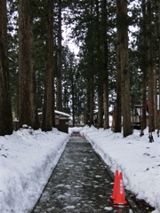 fullsizeoutput_8059