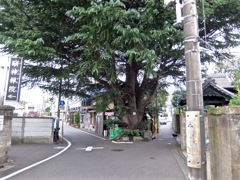 DSCF1225 (1)