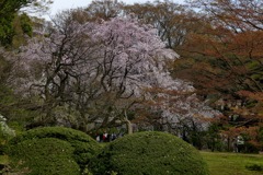 P1030134