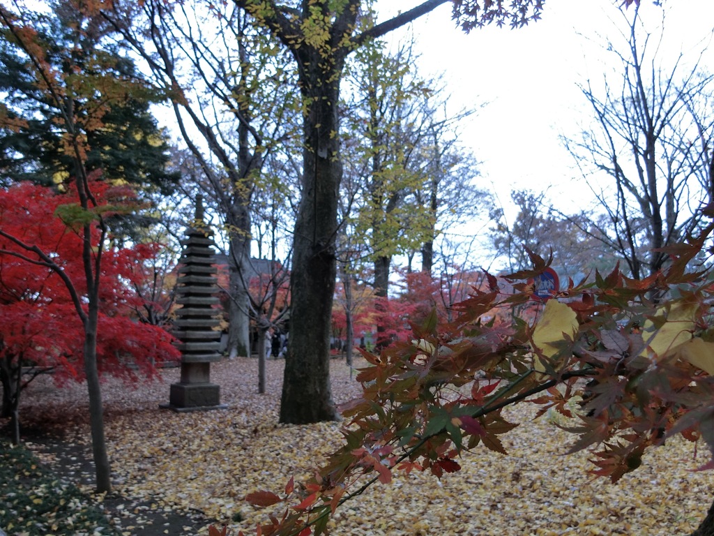 CIMG0258
