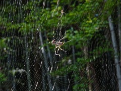 DSC00149