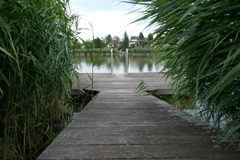P1000220